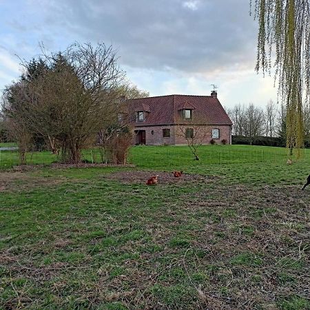 Les chambres d'hôtes DU VERT GALANT  l'Allée des champs Verlinghem Extérieur photo